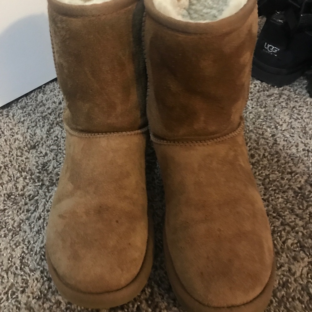 Tan uggs - Picture 4 of 4